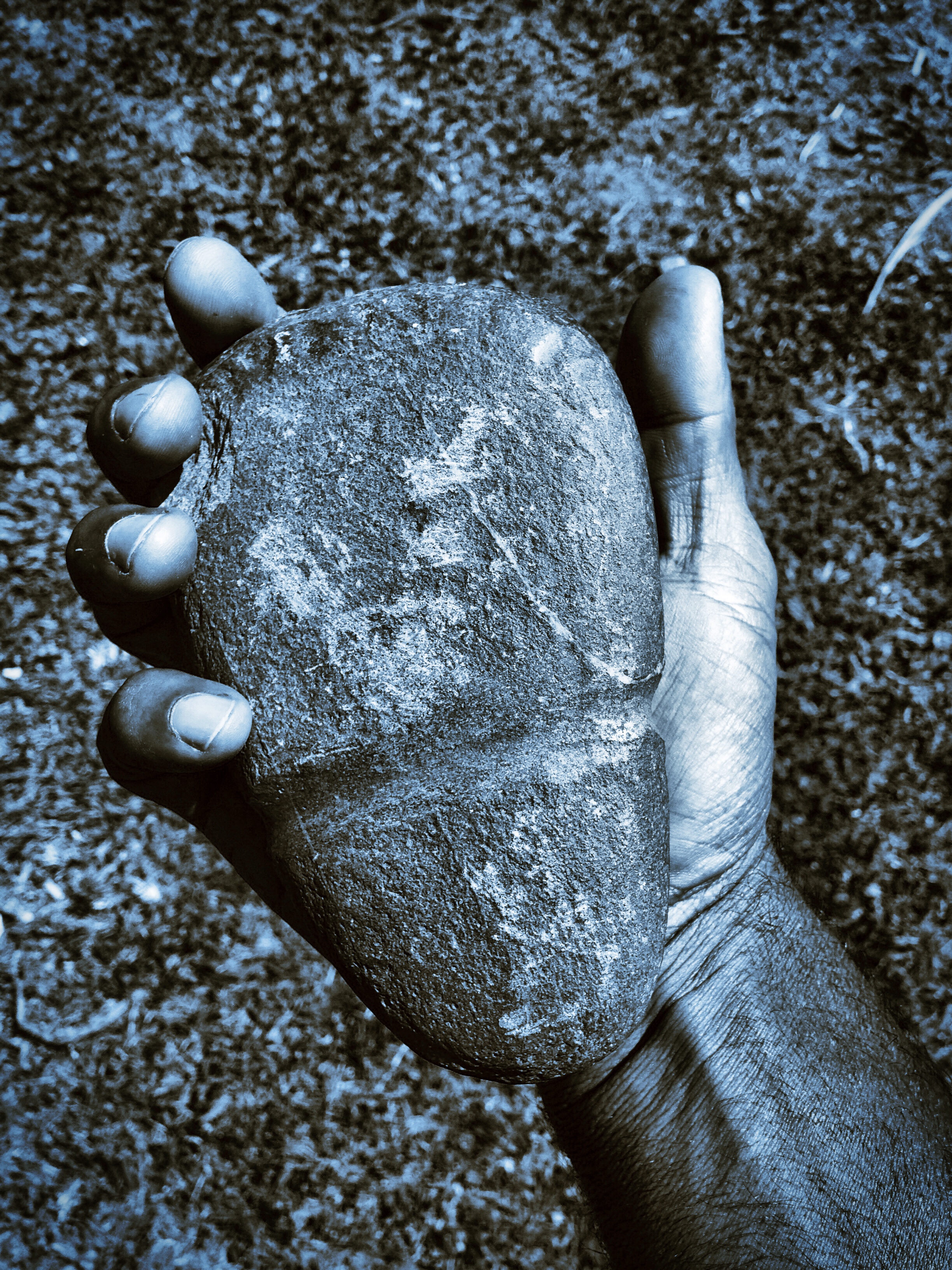 a mans hand holds an indigenous Australian axe head. The axe head is worn wear it was tied to a handle and has chips in the surface around the blade end.